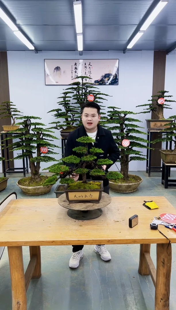 以实际为准00000000