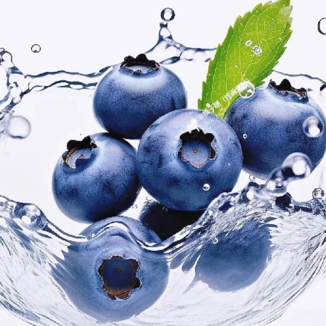 12盒 头茬特大果花香蓝莓 当天现摘现发16-12mm 顺丰冷链送货上门