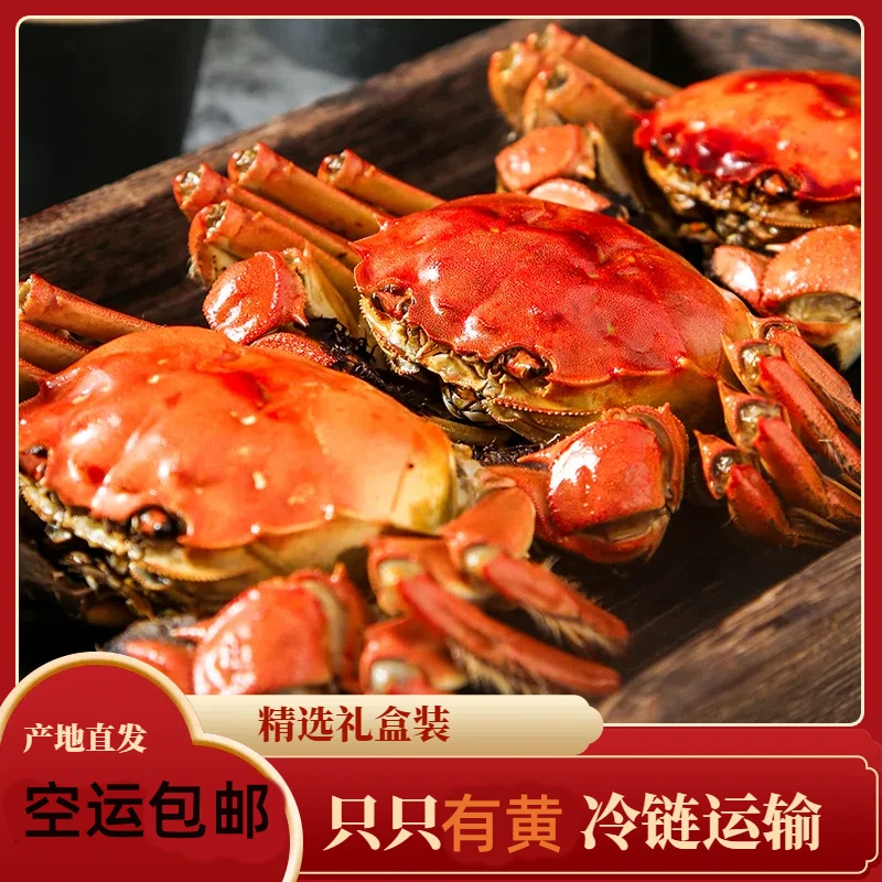 【活蟹】6只2.0-1.7两全母蟹江苏苏州精品大闸蟹京东航空冷链