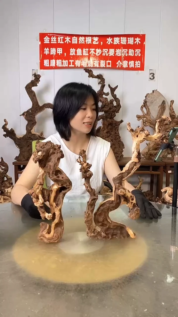 香榧木风**起金丝红木 羊蹄甲