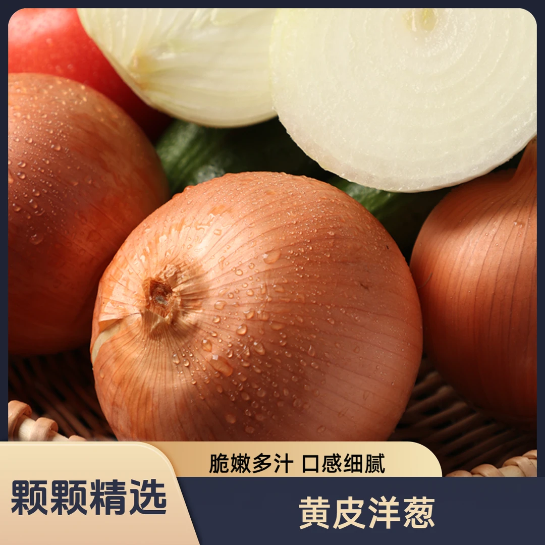山东黄皮洋葱爽脆多汁单果4两起净重4.5斤（5-9个）