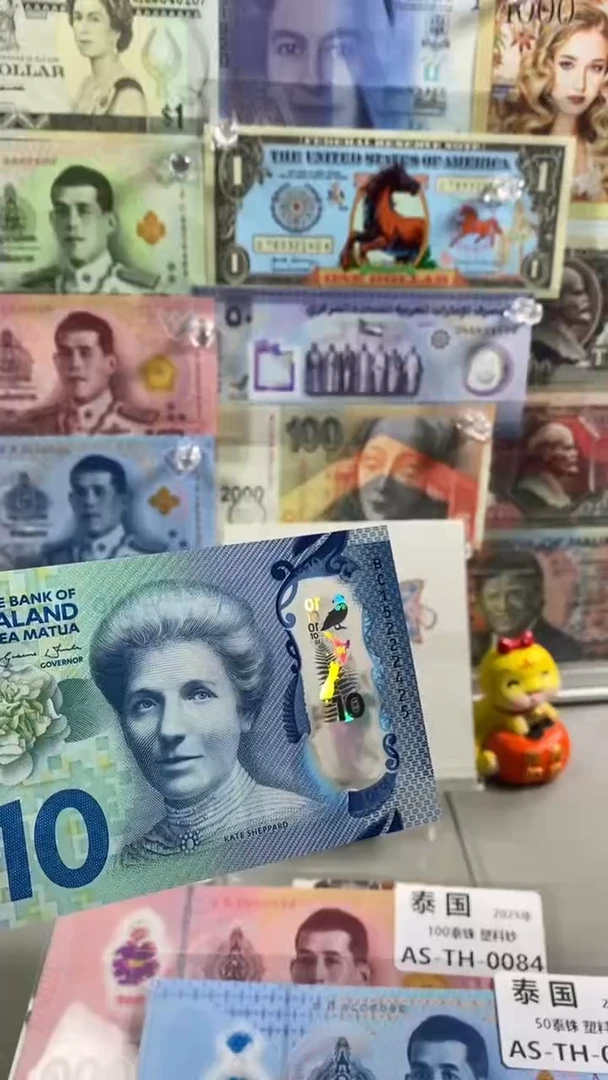 纸币纸币新西10 塑料钞