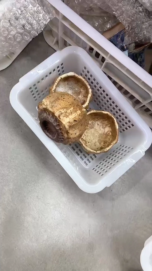 瓷片陶瓷茶器孤品杨1