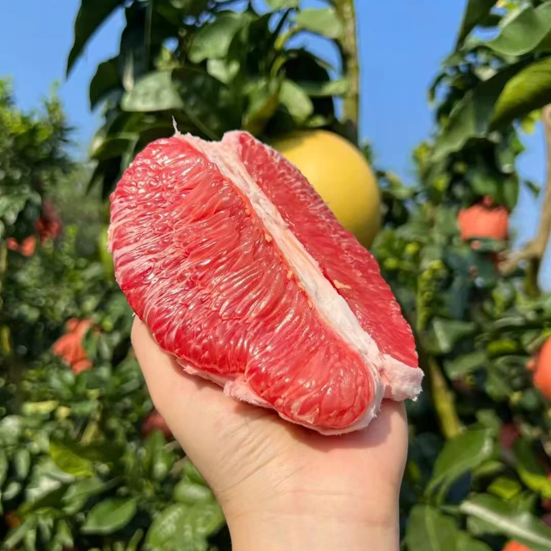 青钻甜柚老树果新鲜采摘皮薄肉厚多汁应季水果