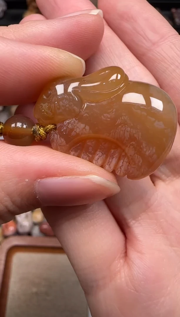硅化珊瑚（珊瑚玉）未镶嵌颈饰217