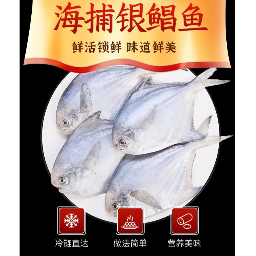 【专属】大连海捕银鲳鱼新鲜海鲜冷冻/平鱼/镜
