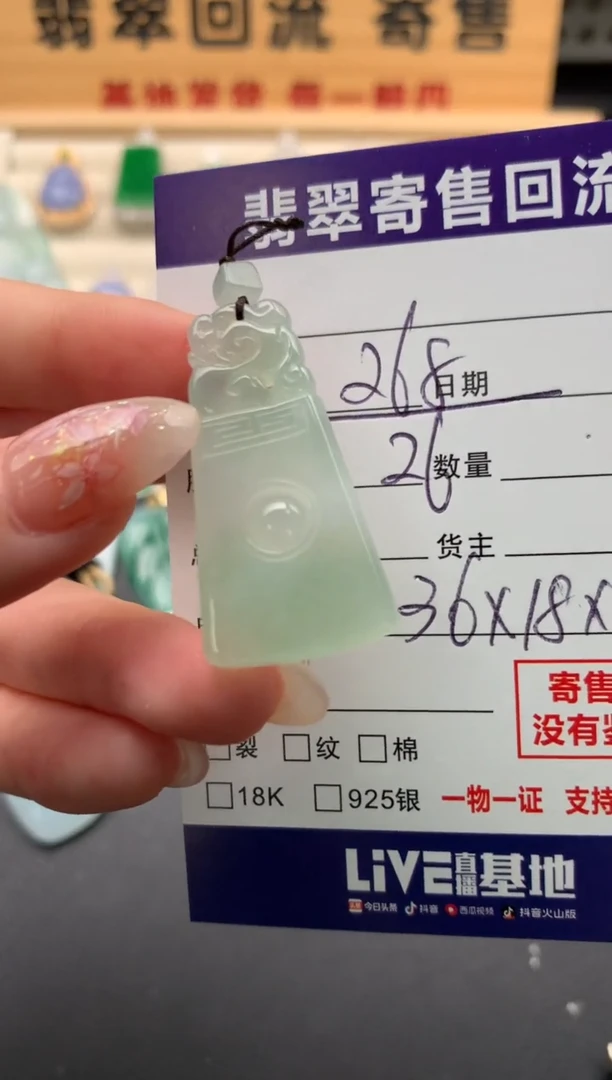 翡翠未镶嵌颈饰10133619