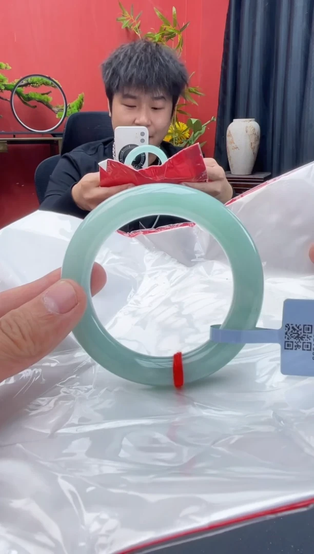 未镶嵌手镯翡翠9