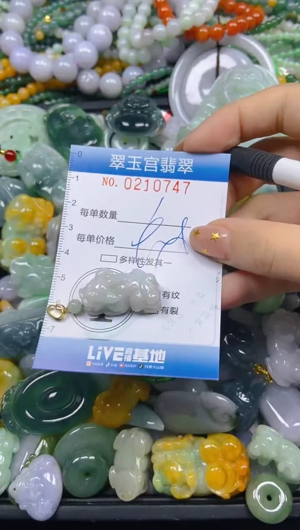 颈饰未镶嵌翡翠闪购C0210747