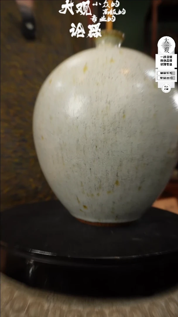 【闪购商品】瓷片大观论器花瓶