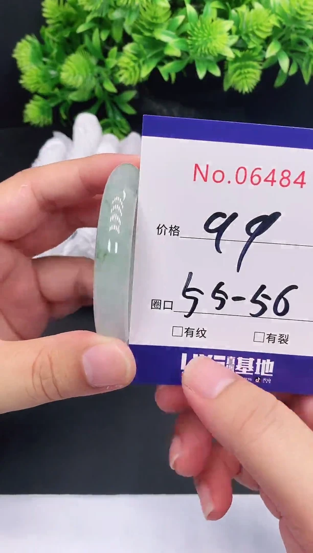 未镶嵌手镯翡翠6479