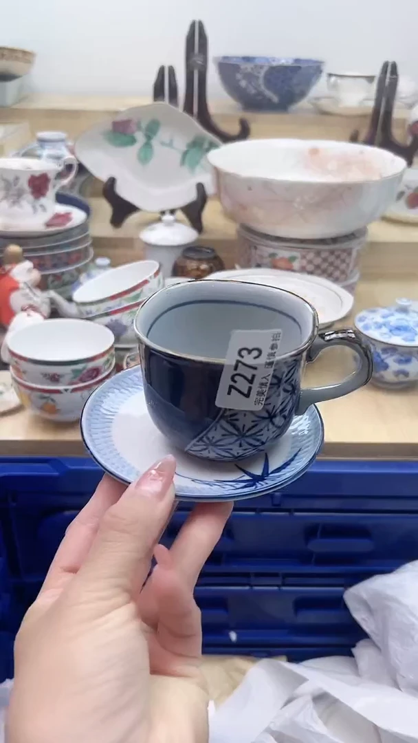 【闪购商品】瓷片273