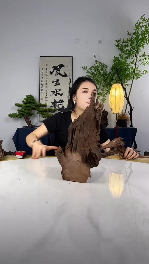 忠**鼎拍这个定向编号135