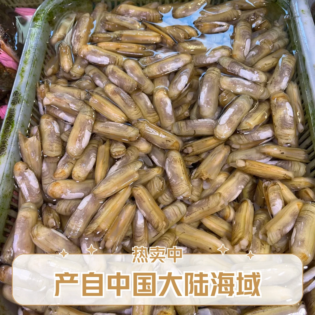 【东胜同城】蛏子一斤