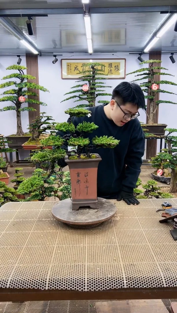 【闪购商品】一物一拍，所见即所得