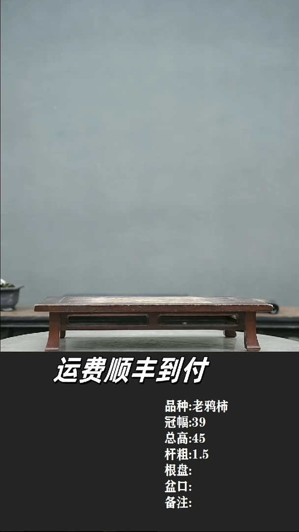 无**果3 老鸦柿