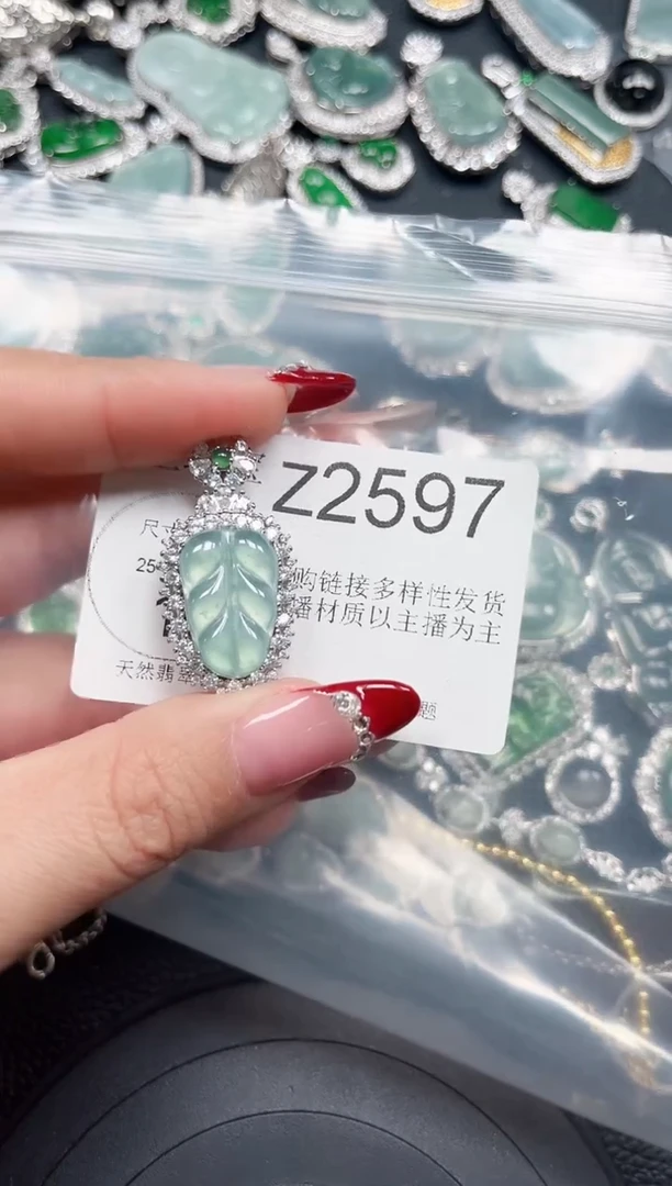 【闪购商品】翡翠颈饰未镶嵌赠皮绳2597