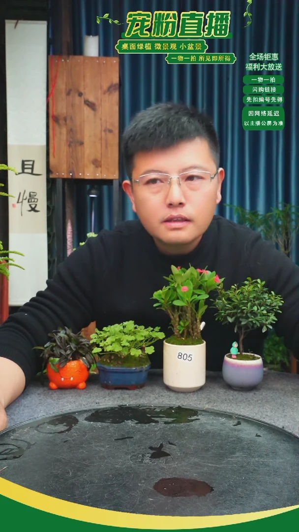 无花朵家*苔藓微景观805号
