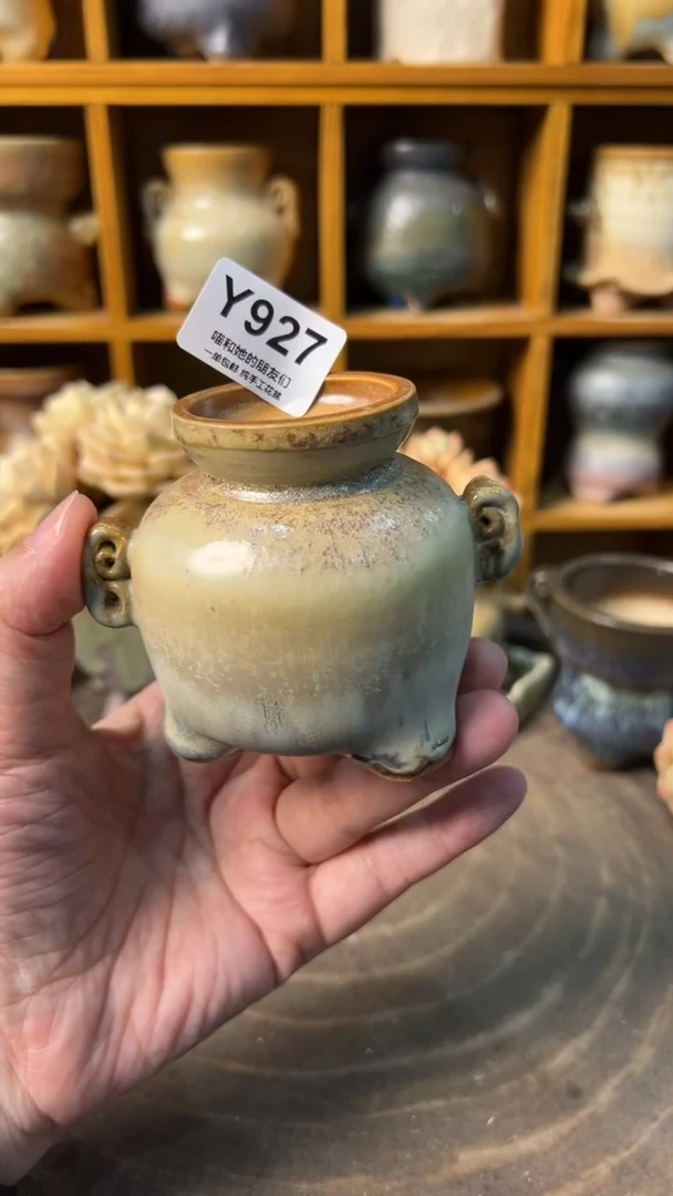 927 内口4【多肉花盆多肉盆】