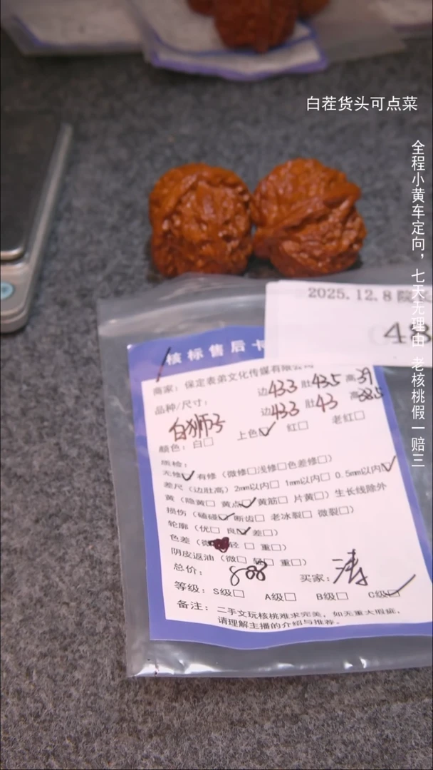 把件文玩核桃涛白狮子489諘帝文化