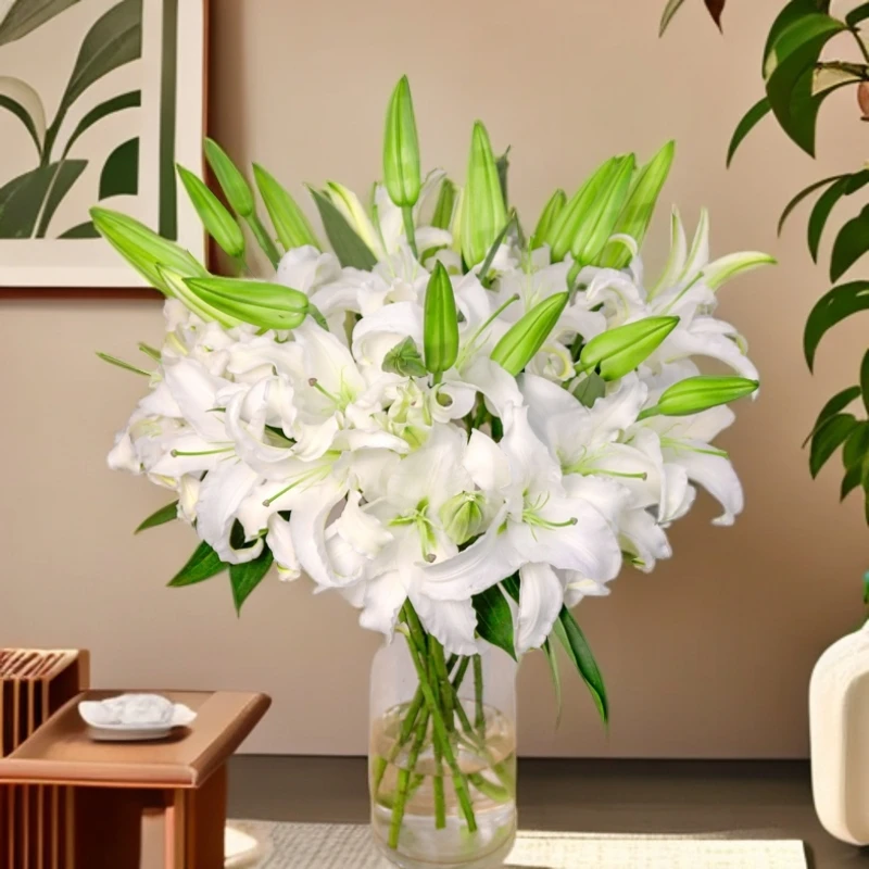 云南木木花卉西伯利亚白色香水百合 #水养鲜花清新淡雅家居观赏