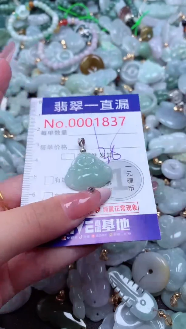 翡翠未镶嵌吊坠(不含链)1837