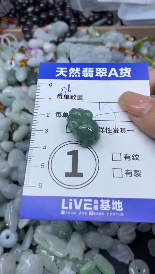 颈饰未镶嵌翡翠天然翡翠A货批量多样性发一件