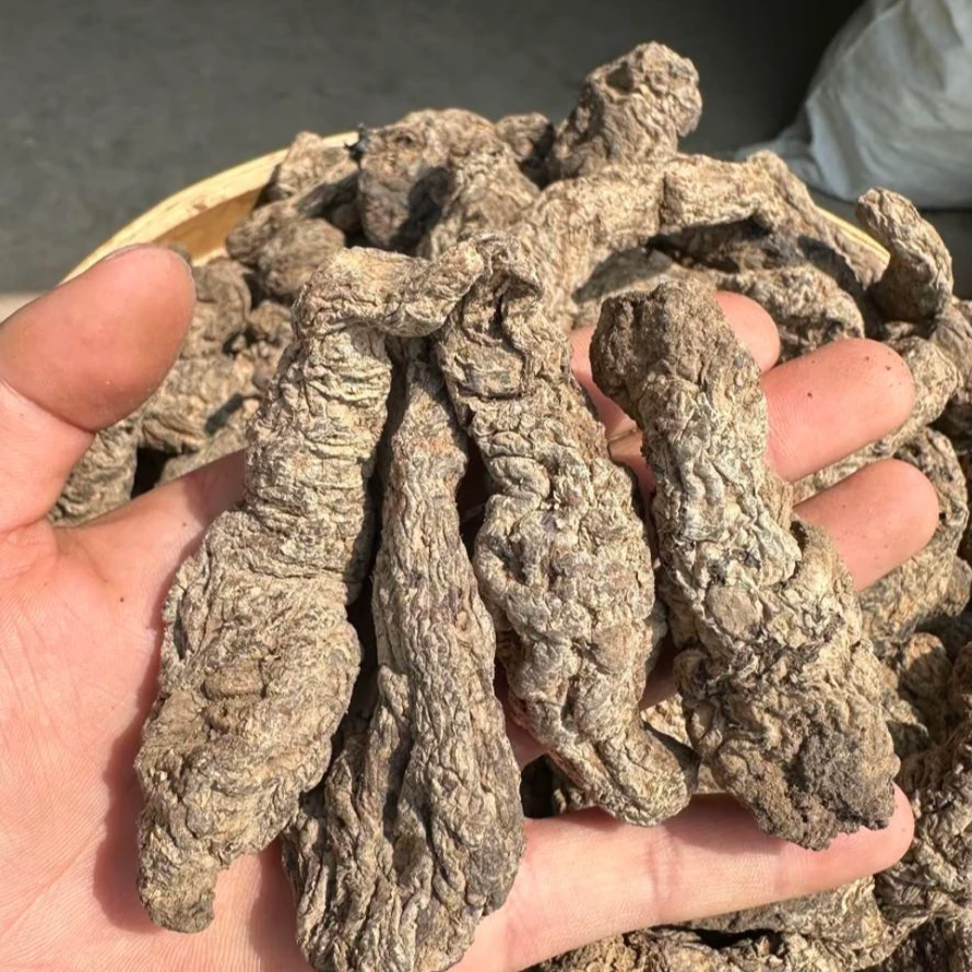 【秦巴本草】村书记助农 秦岭深山 采挖自晒晾晒中药材生地黄个250g
