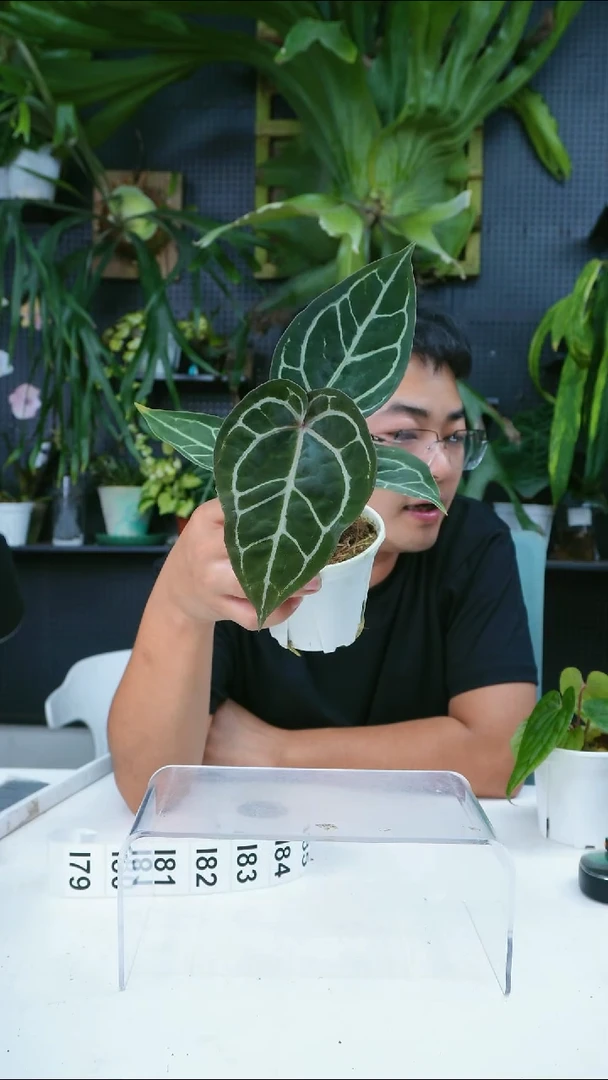 完全开放梦**长一物一拍I79