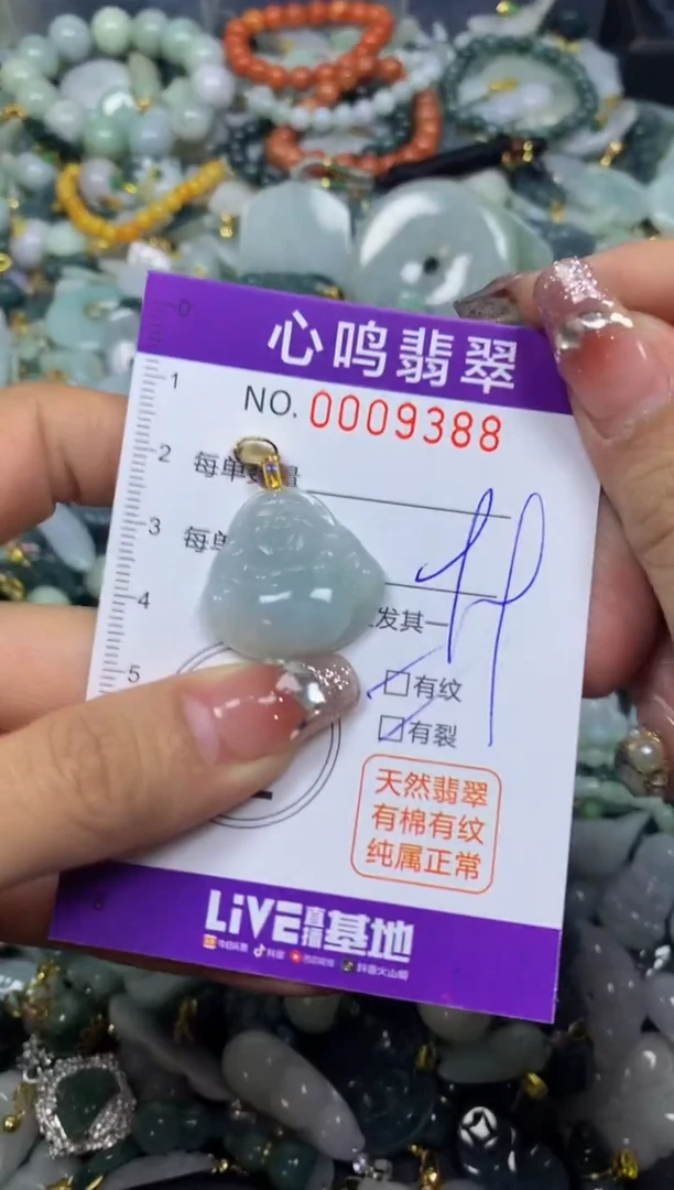 【闪购商品】翡翠颈饰未镶嵌闪购009388