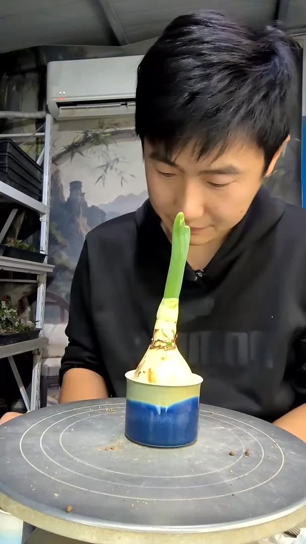 米*雪中青园艺一物一拍花454