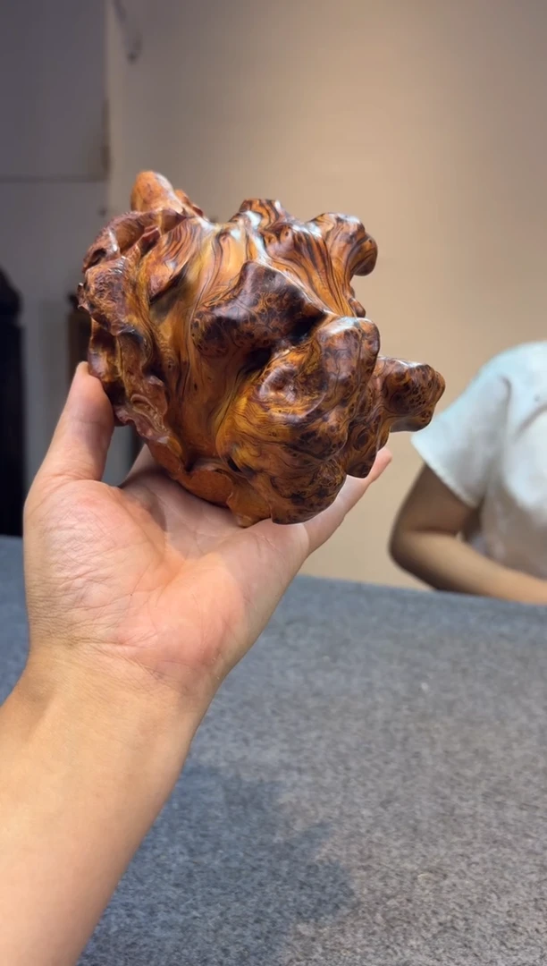 柏木（崖柏）崖柏崖柏