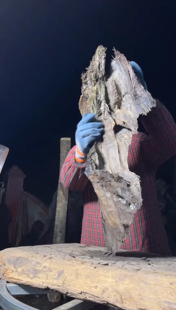 金丝楠星****）金丝楠