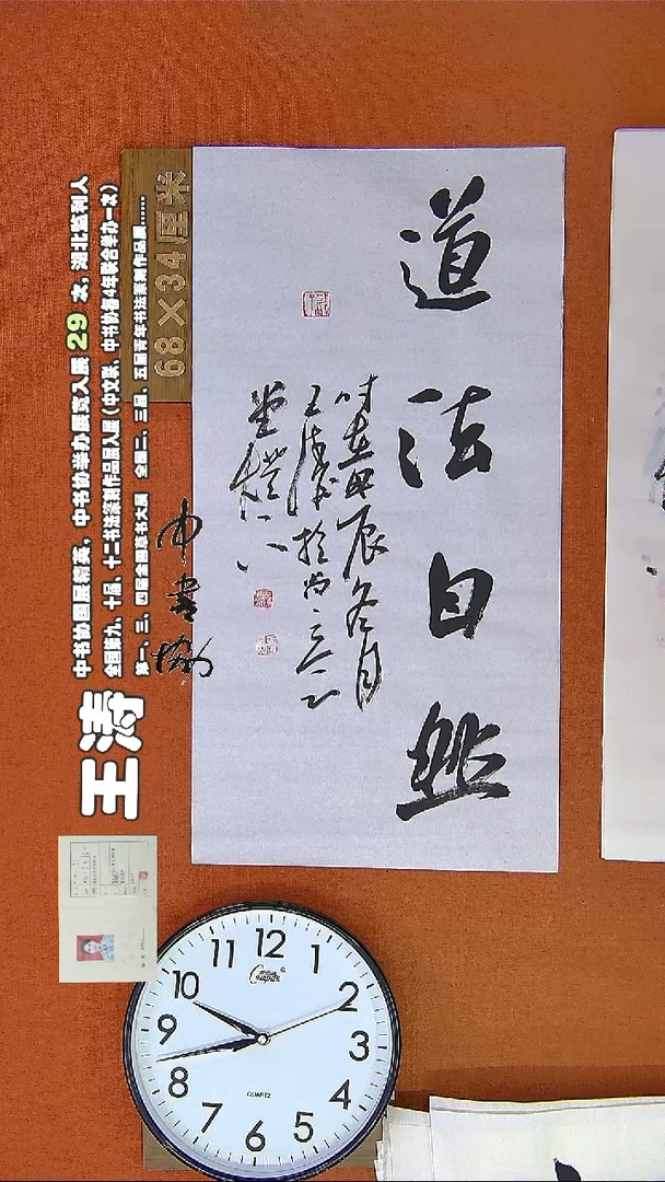 【闪购商品】书法504E王涛书法作品