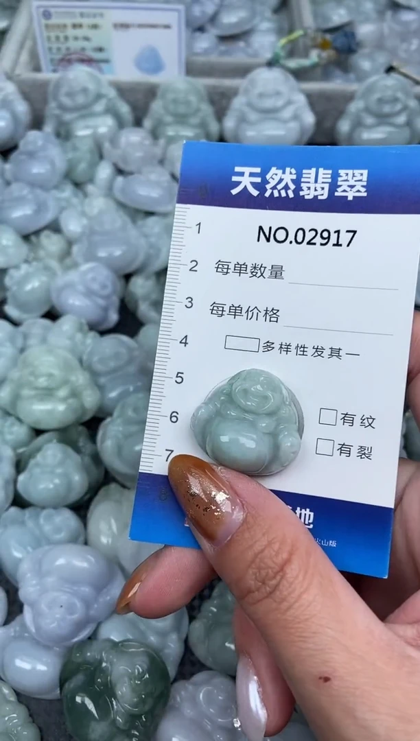 颈饰未镶嵌翡翠纯天然A货翡翠2917