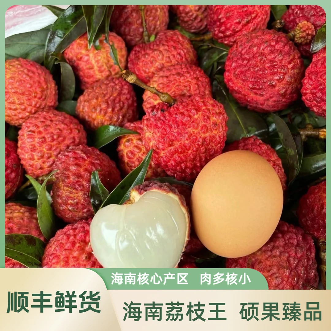 【顺丰当天摘】海南荔枝王特大火山口核心产区1~5斤装当季新鲜应季荔枝荔枝同城送海南省