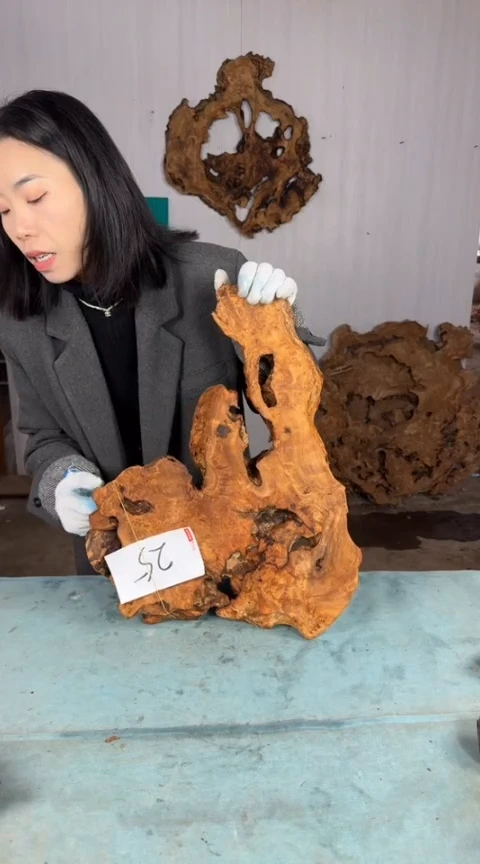 【闪购商品】香杉木木艺杉木瘤随型【原料】025