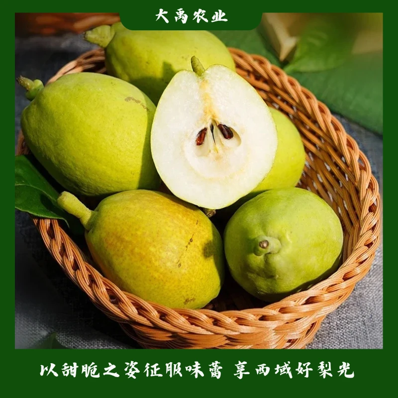 【地标农产品】正宗库尔勒特级香梨