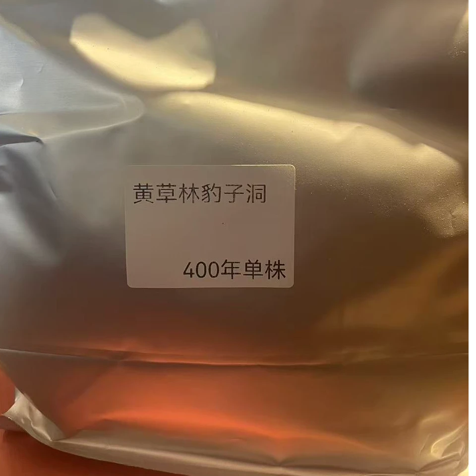 【高货上新】2024年黄草林-豹子洞400年古树单株生茶