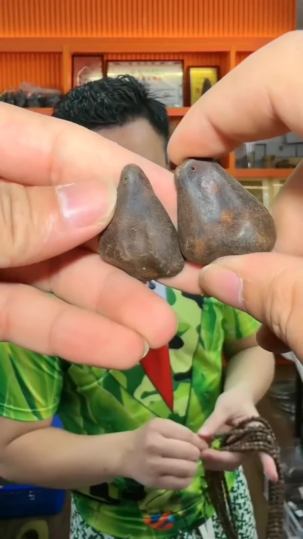 沉香吊坠207号红土多样性发一