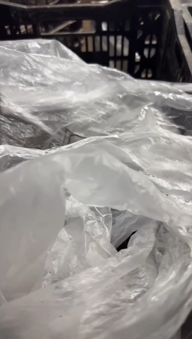 啊****鱼49  啊我额衣屋鱼  女王