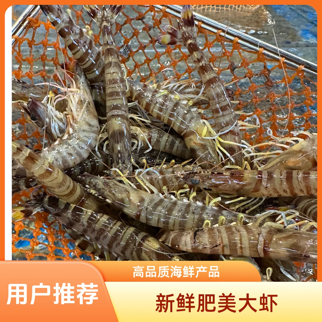 【鲜活】基围虾 500g  30只