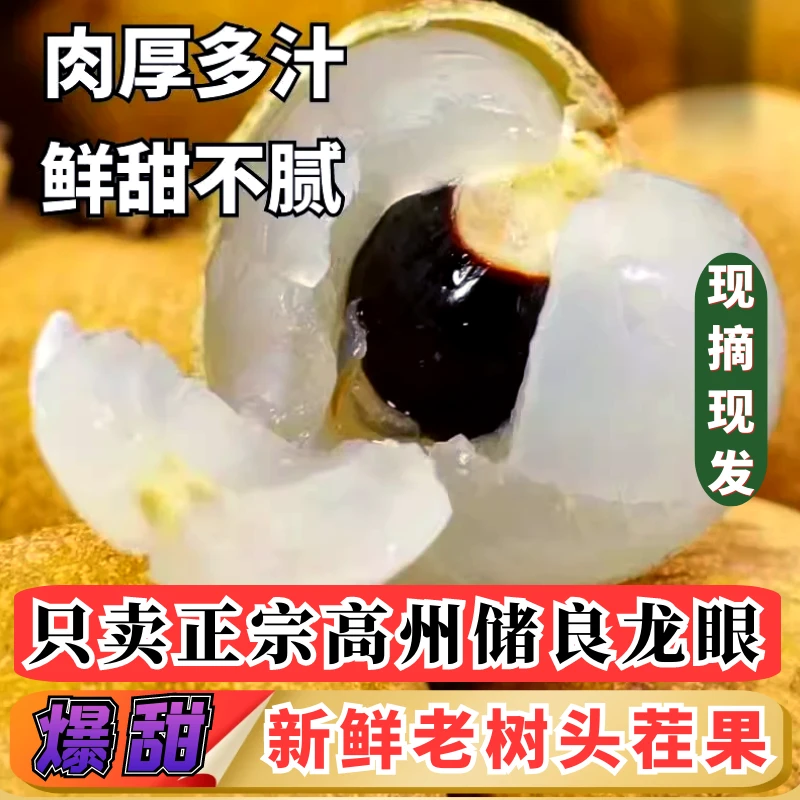 【送礼京东/顺丰】储良龙眼茂名高州新鲜现摘现发清甜多汁当季水果