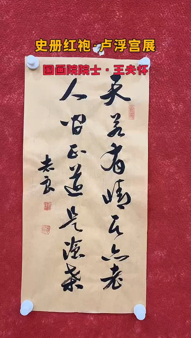 国画12.4zz-袁志良-不带国检证书-书法7