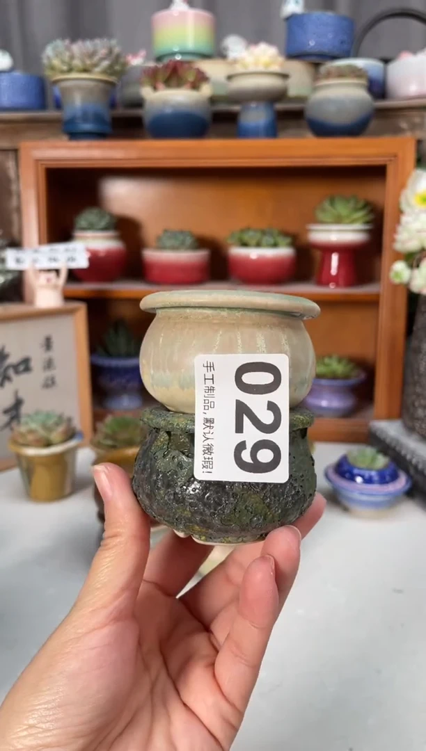 瓷片妮029小芳直播编号