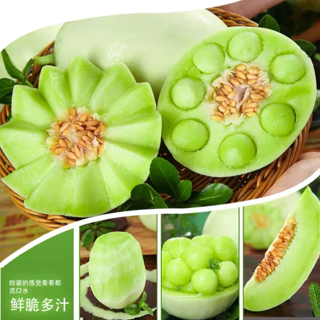 顺丰 "熊蜂青雨" 奶香蜜瓜 皮薄肉软 香甜糯 2/5颗 仅南京