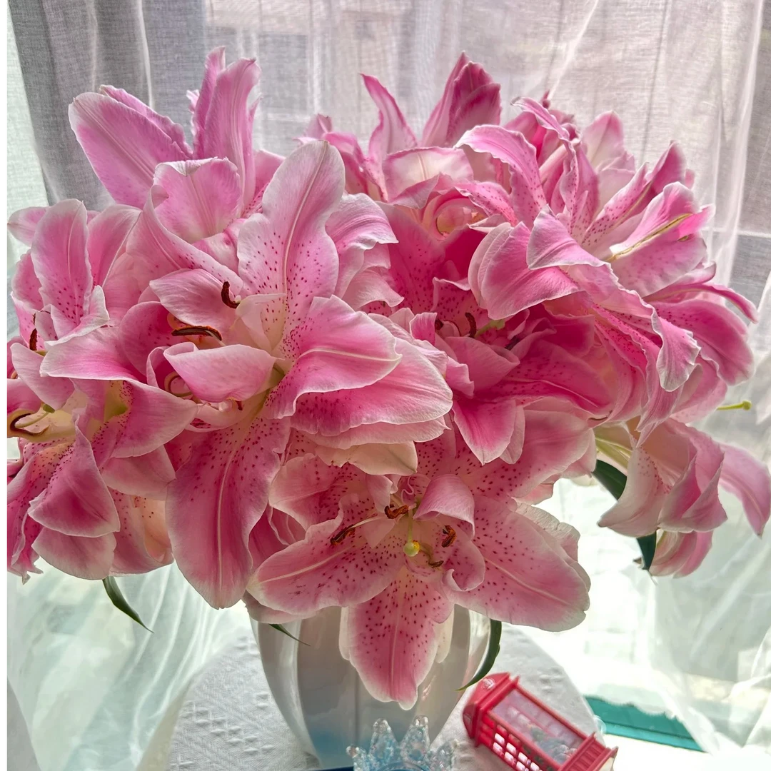 【粉色重瓣百合】云南鲜花基地直发 任意鲜花两单升级顺丰/空运