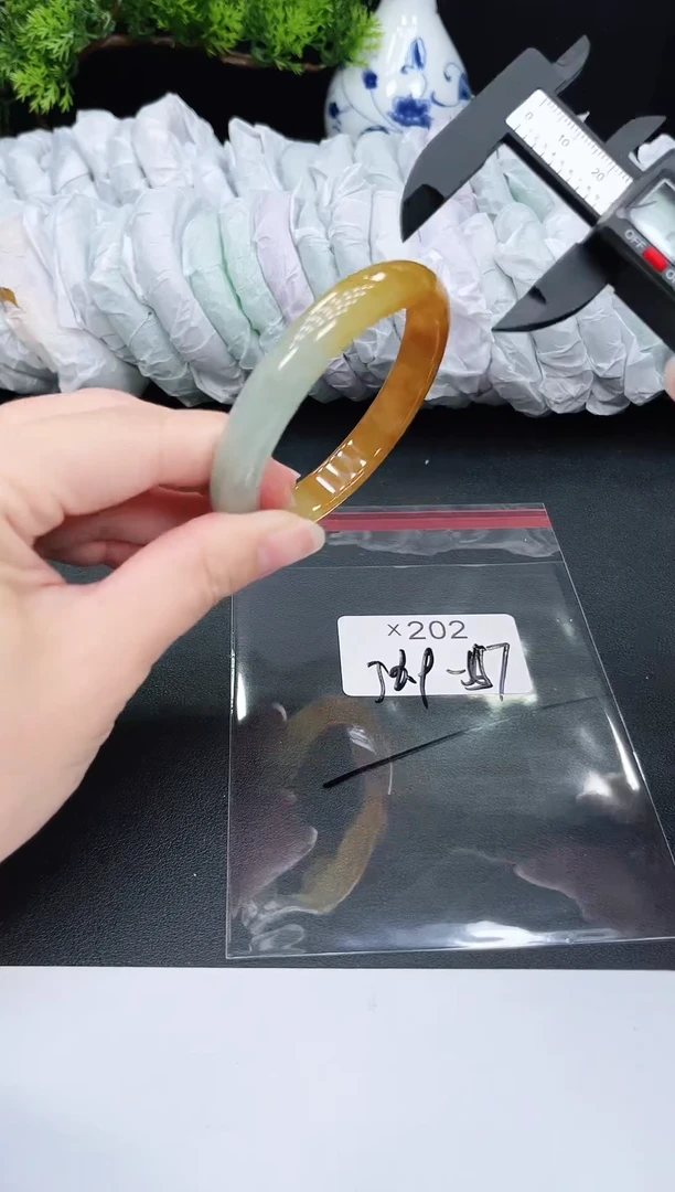 未镶嵌手镯翡翠202
