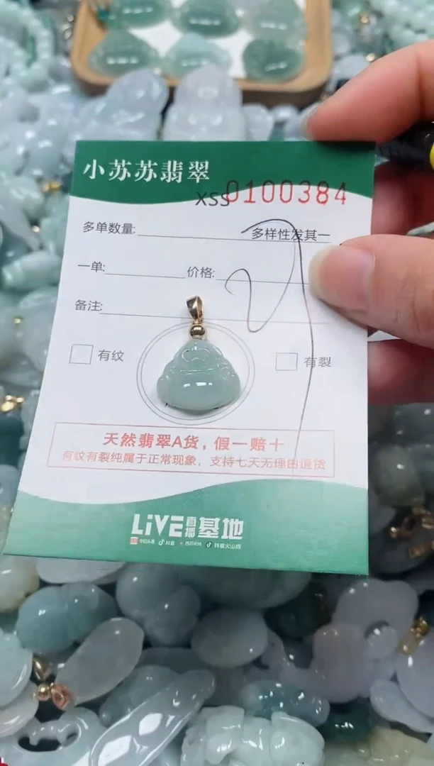 【闪购商品】翡翠颈饰未镶嵌闪购商品0100384