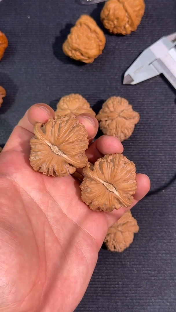 木质类小*44全品